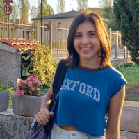 Studentessa di un liceo scientifico,offre ripetizioni di matematica e inglese per scuola media; matematica e fisica per il primo biennio del liceo a Milano