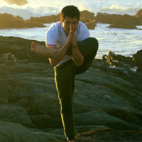 Profesor Instructor  certificado por la Federación Internacional de Yoga Capacitado para todos los estilos de Yoga