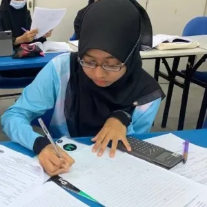 Danish - English tutor - Hulu Langat