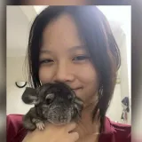 Jia er - Chinese tutor - Subang Jaya