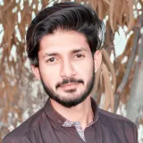 Shahid - English tutor - Arklow