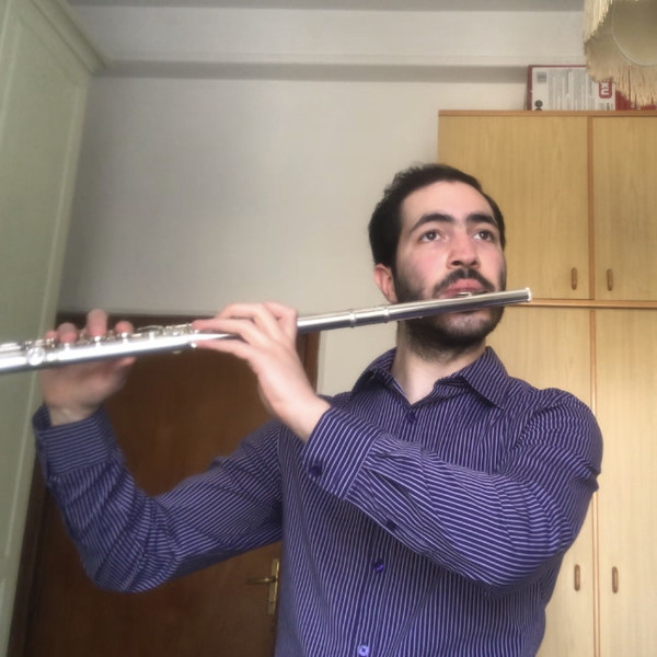 Maestro di Musica con più di 10 anni di esperienza offre lezioni di Flauto Traverso, Flauto Dolce, Solfeggio ed Inglese.