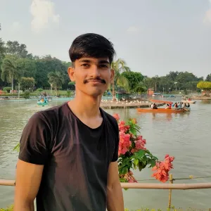 Satish - Microsoft excel tutor - New Delhi