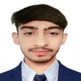 Rohit - Economics tutor - Narnaul