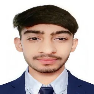 Rohit - Economics tutor - Narnaul