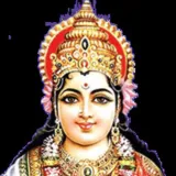 Gowrishankari nirmal Kumar - English tutor - Namakkal