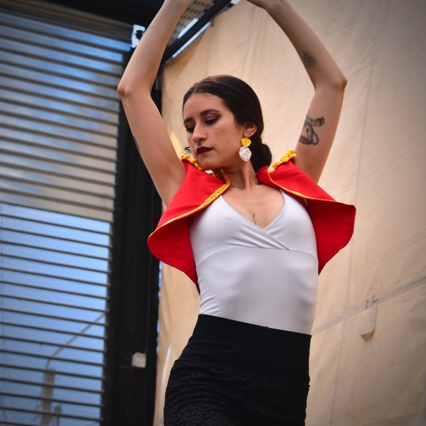 Bailarina de danzas españolas ofrezco clases a domicilio a quienes quieran iniciarse en las sevillanas y el flamenco. Para salir de la rutina y disfrutar bialando