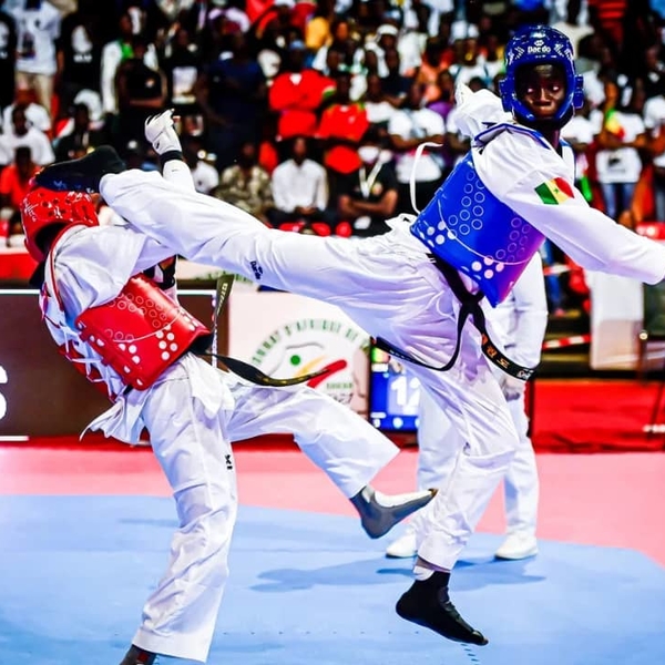 Professional athlete and former rank 1 i the world in taekwondo. I offer private lesson in taekwondo. You welcome to contact me so we can arrange private trainings to teach you taekwondo or if you an 