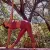 Mara - profesor de yoga - Valencia