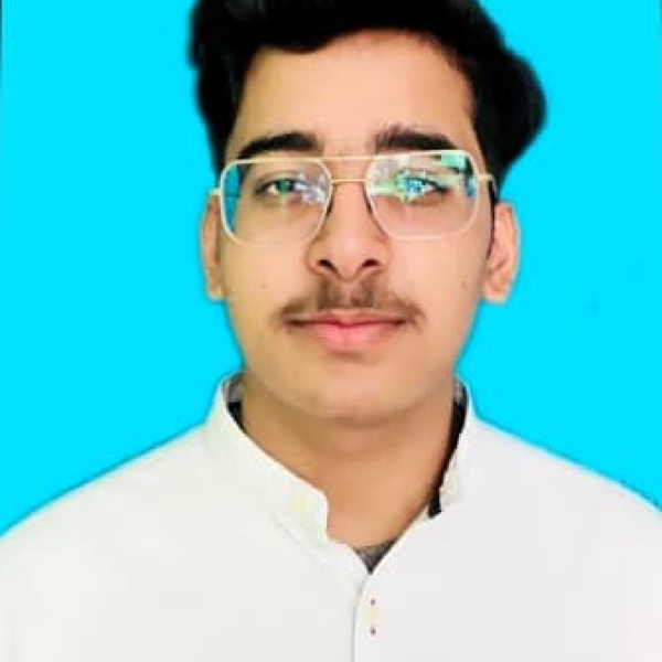 I am a Ca Aspirant. Currently Pursuing B.com from Delhi University. I have great Command in the field of Accounting and finance.  I provide quality education for Accounts,Commerce, Economics and Busin