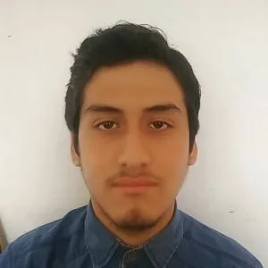 Brian - Profe de matemáticas - Callao