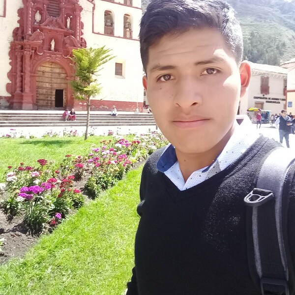 Estudio educación secundaria - Matemáticas en la universidad nacional de Huancavelica, cursando el 9 ciclo.