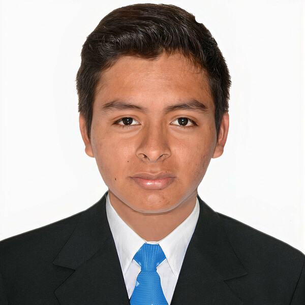 Bachiller en Ingeniería de Sistemas en la Universidad Nacional Toribio Rodríguez de Mendoza, Amazonas, Perú. Amplio conocimiento en Tecnología e Innovación.
