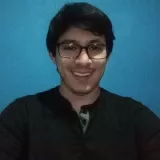Johan - Maths tutor - Seattle