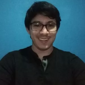 Johan - Maths tutor - Seattle