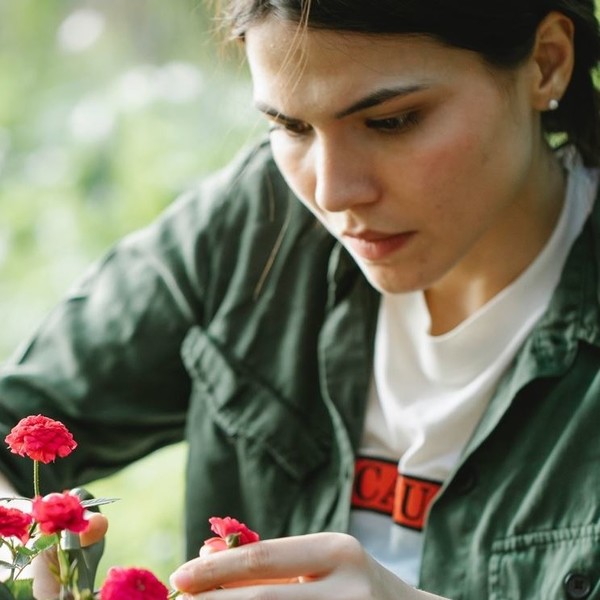 Cours privé à domicile de jardinage naturel et permaculture (méthodologie personnelle simple et efficace)