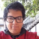 Luis - Profe de programación - Mexicali