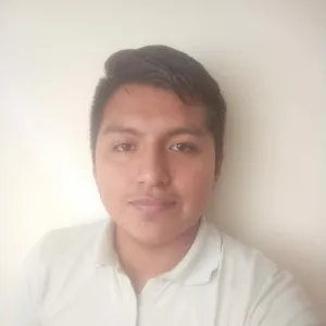 Nelson - profesor de matemáticas - José Luis Bustamante y Rivero