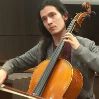 Violonchelista maestro en música con trece años de experiencia interpretando el vilonchelo y 2 años enseñanso, da clases de interpretación del violonchelo
