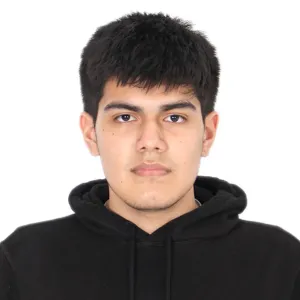Luis - Profe de matemáticas - Lima