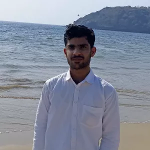 Gourav - Maths tutor - Hansi