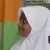 Pratiwi - Guru matematika - 