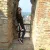 Lisa - Insegnante di storia - Verona