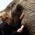 Ellen - German teacher - Marloth Park