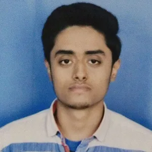 Aditya - Maths tutor - 