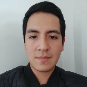 Luis - profesor de matemáticas - Comas