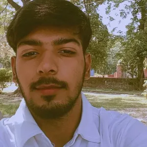Vihaan - English tutor - Chandigarh