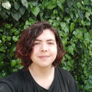 Manuel - Profesor de matemática - Valdivia