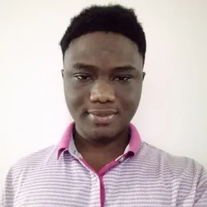 Albert - Mathematics tutor - New York