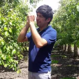 Fernando - Profesor de ingeniería - Rinconada de Idahue