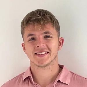 David - English tutor - London