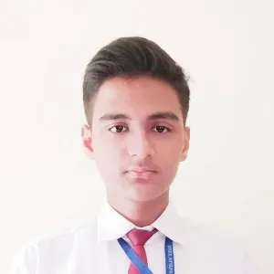 Shaswat - Maths tutor - Bokaro
