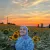 Hajar - Prof d'anglais - Triel-sur-Seine