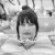 Kate - Drawing tutor - London