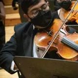 Hamlet - Profesor de violín - CDMX