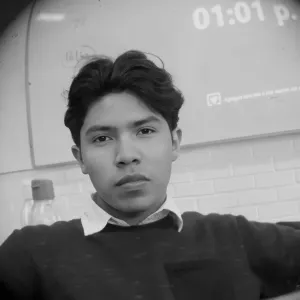 Fernando - Profe de matemáticas - Xalapa-Enríquez