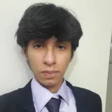David - profesor de economía - Lima