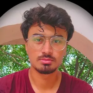 Vishal - Physics tutor - New Delhi