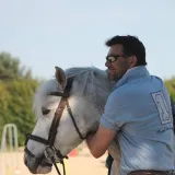 Ludovic - Prof d'équitation - Bonsecours