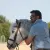 Ludovic - Prof d'équitation - Bonsecours