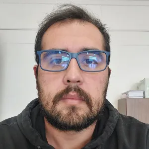 Luis - Profesor economía - Punta Arenas