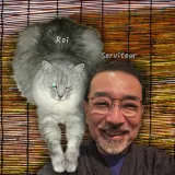 Tatsuya - Prof de japonais - Grenoble