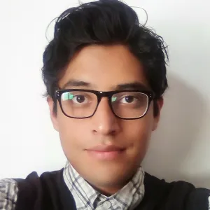 Nimzaj - profesor de programación - Zapopan
