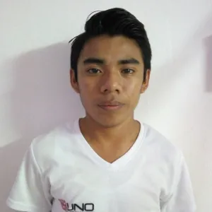 Luis - Profesor de apoyo escolar - Valladolid Yucatán