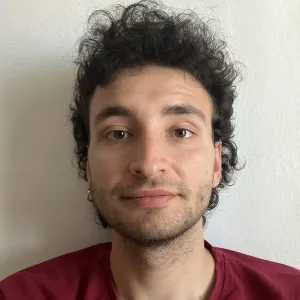 Dragoș - Insegnante di ingegneria informatica - Bologna