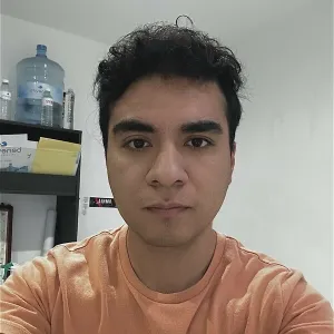 Luis - Profesor de matemáticas - Irapuato